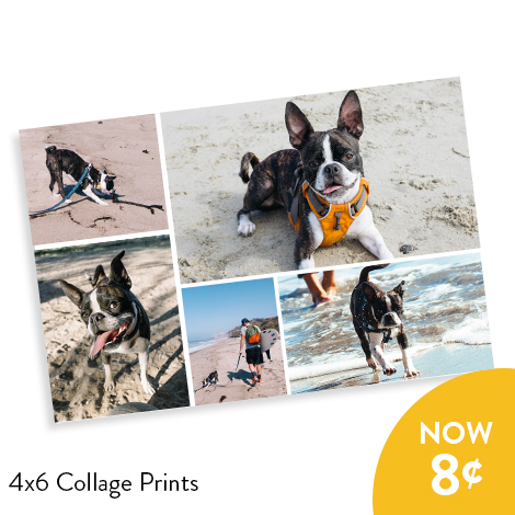 Snapfish poster coupon code
