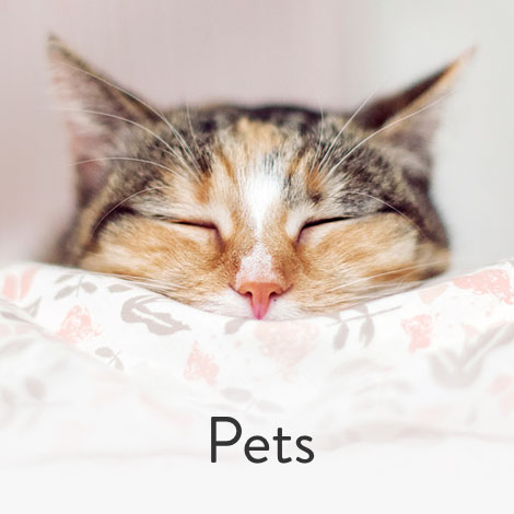 FOR THE LOVE OF PETS