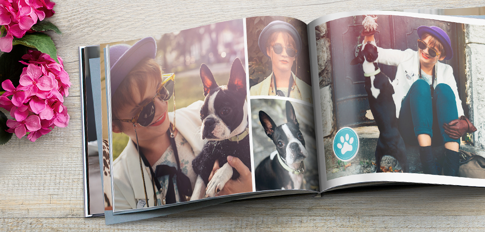 Unsere schönsten Fotobücher & mehr
