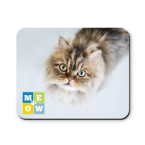 Meow Squares
