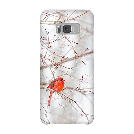 Samsung Galaxy S8 Plus