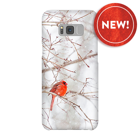 Samsung Galaxy S8 Plus