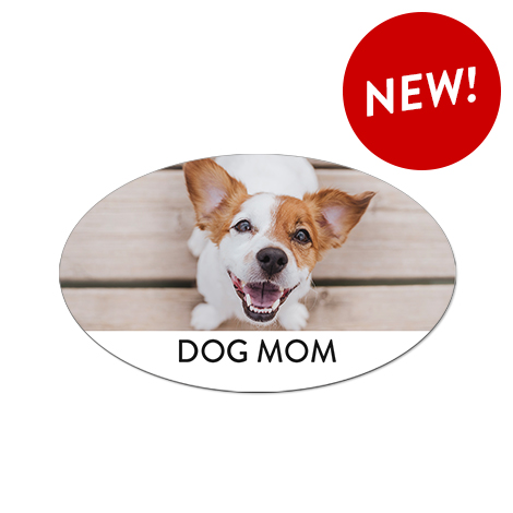 Car Magnet