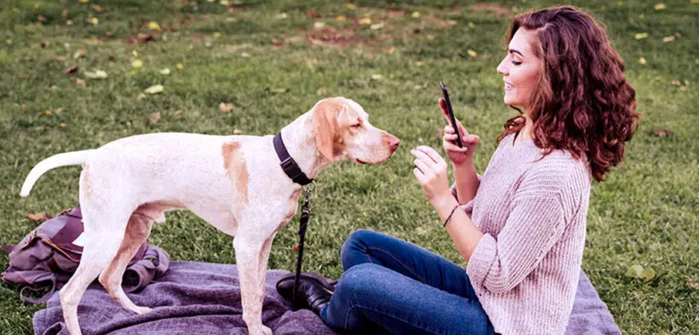 Ten Tips For Photographing Your Pet