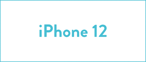 iPhone 12 Phone Case